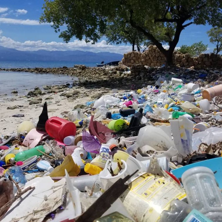 4ocean's tweet photo. Before ➡️ After!

We recently checked in on Team Haiti to find that they've been absolutely dominating the ocean cleanup game! Over 3,841 pounds of trash were recovered from this coastline. 

This puts us at 15,757,673 total pounds and even closer to our 16 million pounds goal! https://t.co/4i46Co8tkl