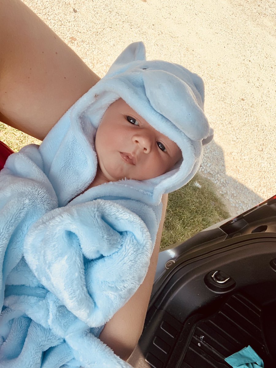 The cutest elephant around