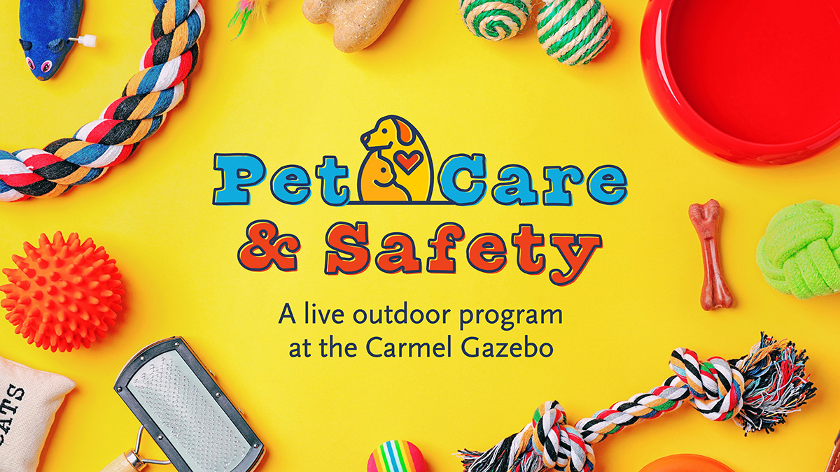 Carmel Clay Library tweet media