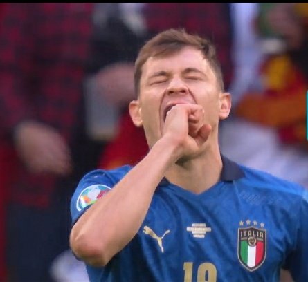 ____dontblameme's tweet image. Italiani: "basta non è vero che parliamo con i gesti, è solo uno stereotipo
Letteralmente gli italiani:
#ItaliaSpagna