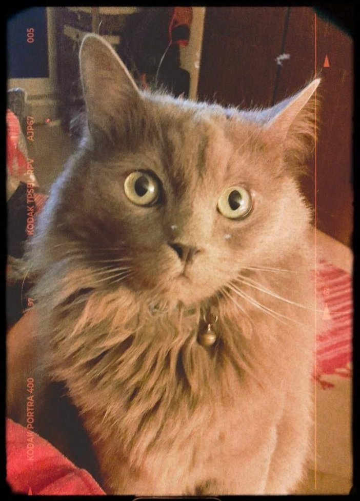 pathipen's tweet image. Is this love?