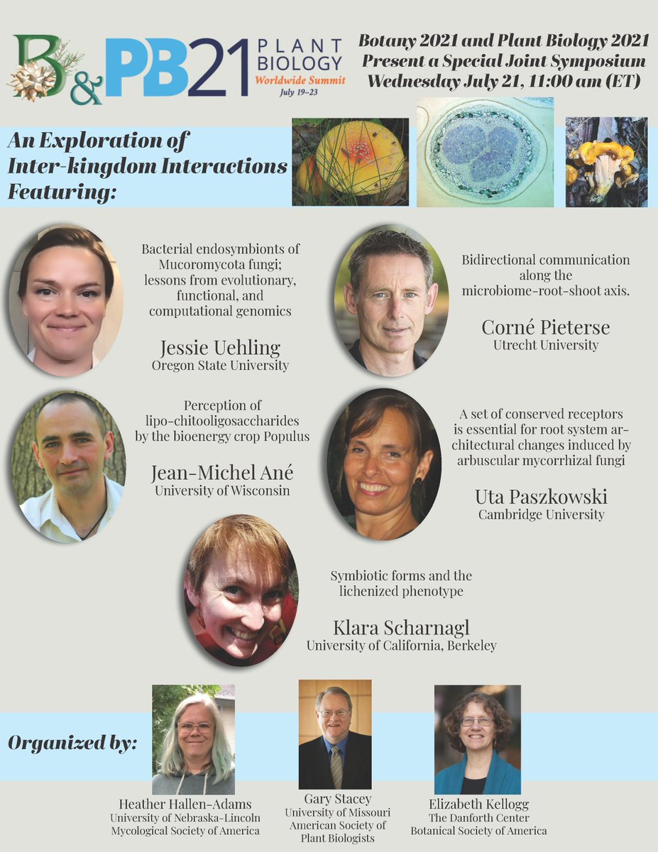 <a href="/ASPB/">ASPB</a> and <a href="/Botanical_/">Botanical Society of America</a> are organizing a joint session open to attendees of #PlantBio21 and/or #Botany2021! Join us for three hours of exploration of interkingdom interactions. More information here: buff.ly/2TGdE1c