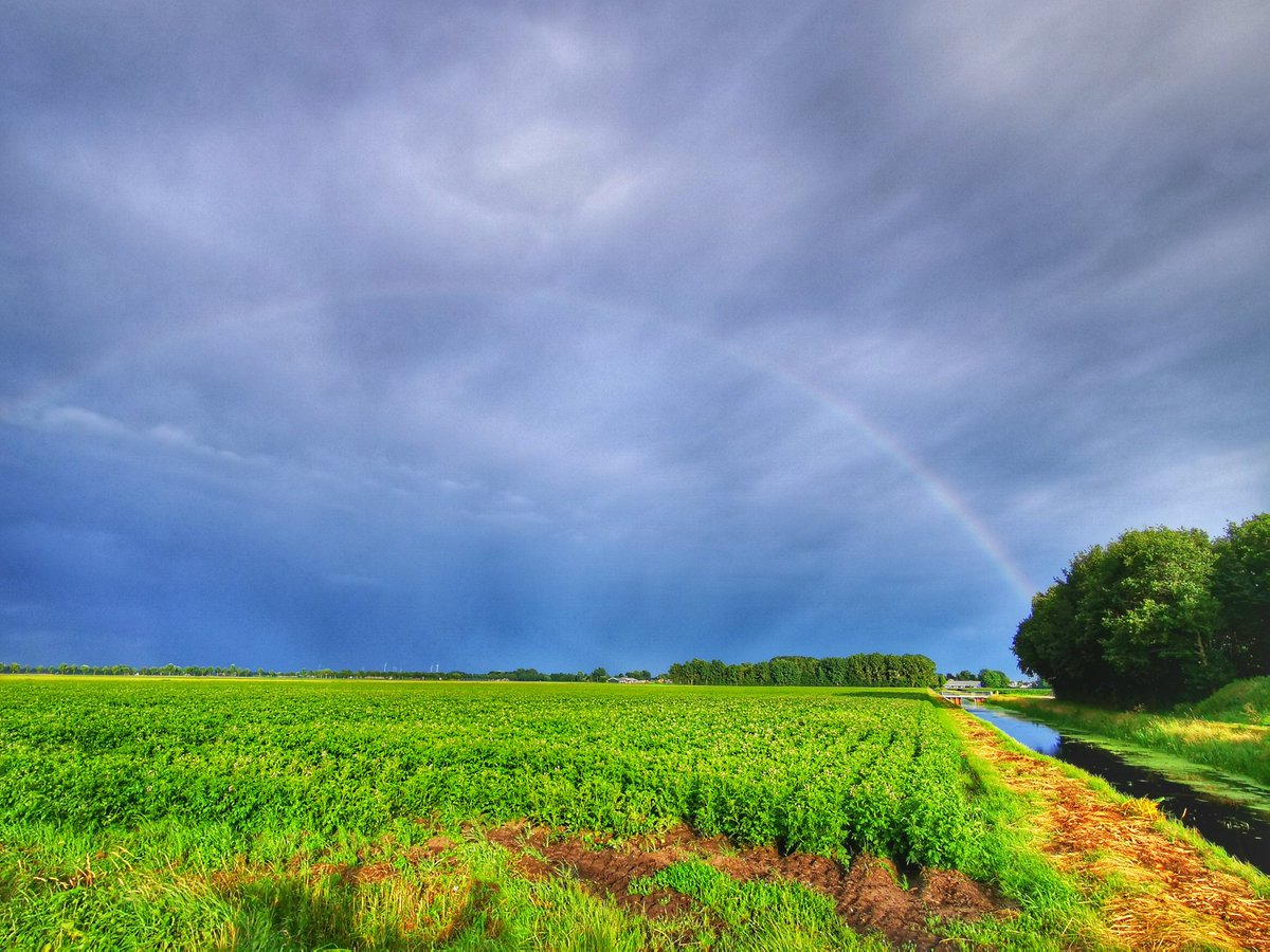 Avondwandeling met een regenbui, zonneschijn en een schitterende regenboog #ditisDeKrim 🍀
#wandelen