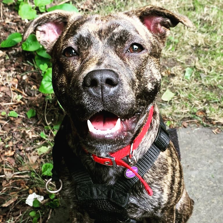 WillOMullane's tweet photo. Two years since we got this one from @themayhew. Hashtag best two years ever. https://t.co/udMUS3pEB5