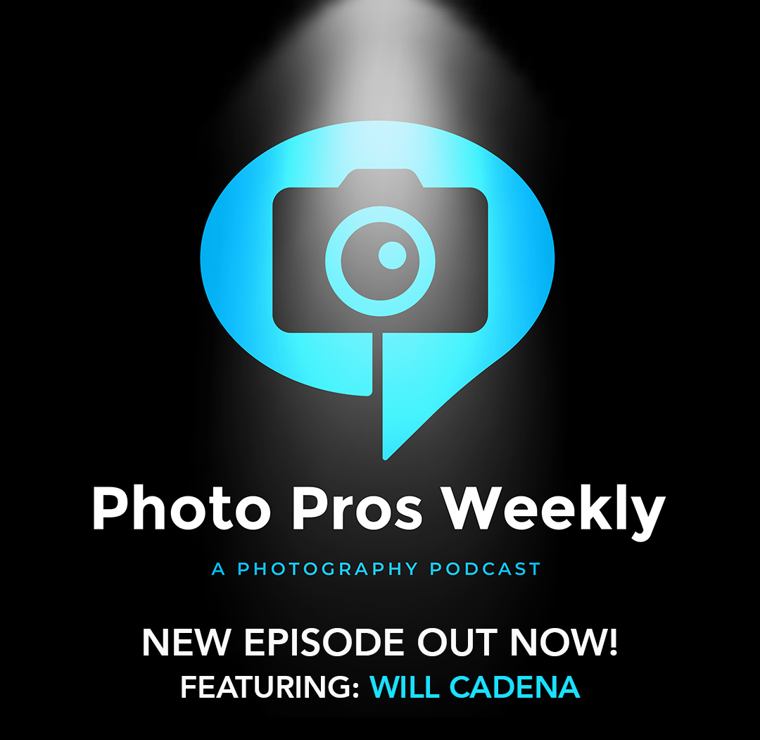 Westcott Lighting tweet media