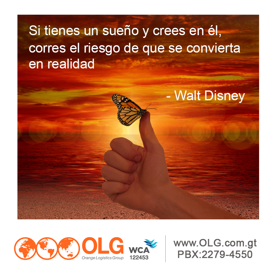Orange Logistics Group, S.A. (@orangelogistic1) on Twitter photo 