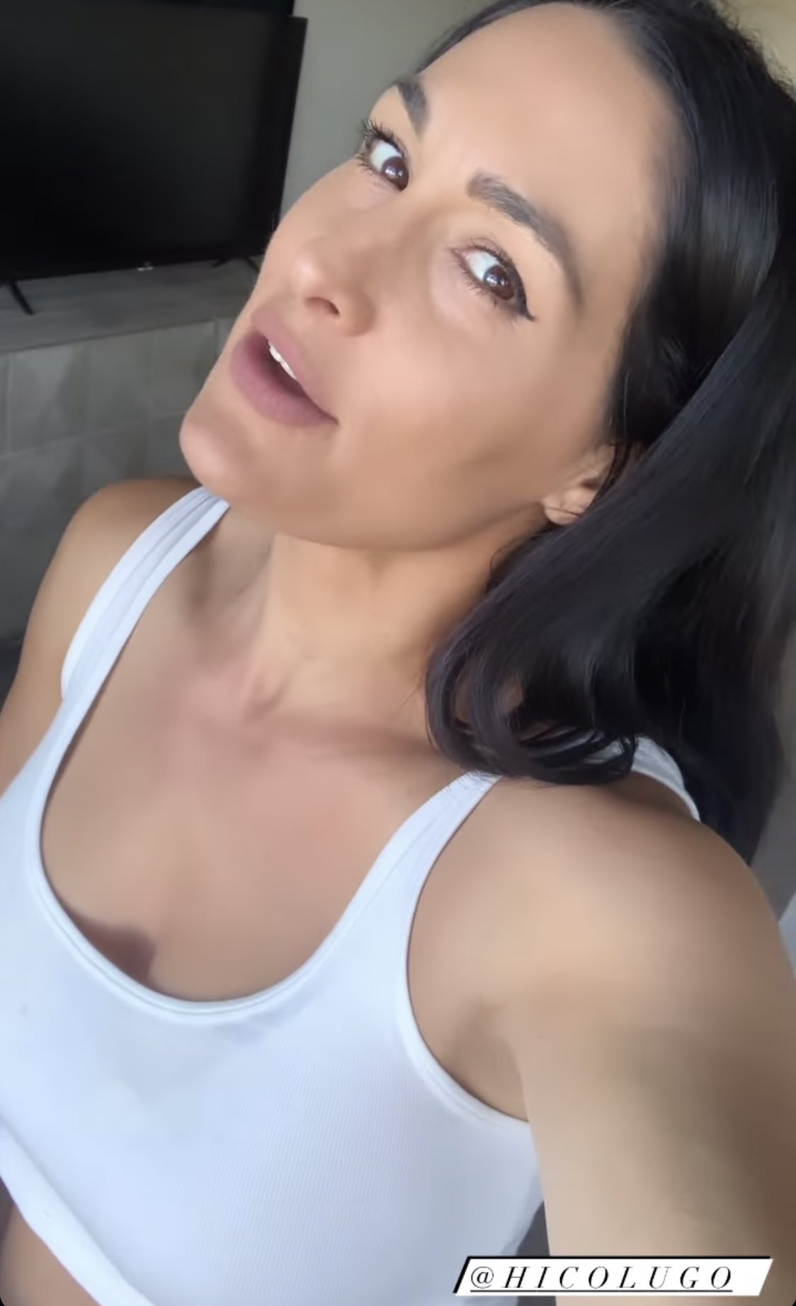 Photos: WWE Star Nikki Bella Living Her Best Life In Napa Valley 3