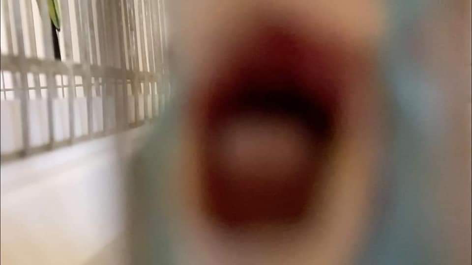 AurasBirds's tweet image. you died