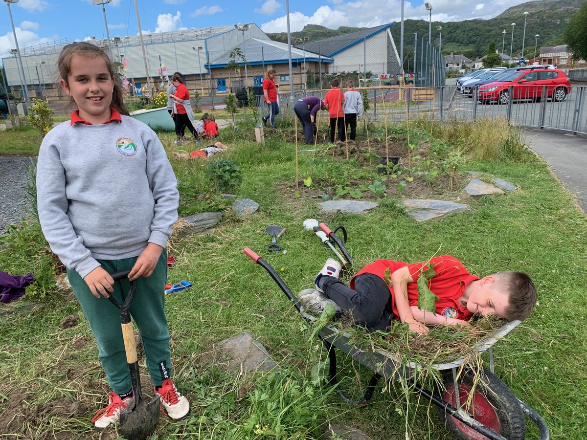 EdibleMadog's tweet photo. Ddoe wnaeth ddisgyblion Blwyddyn 5 Ysgol Eifion Wyn menyn perlys,bwyta pys a mefus, a cloddio tatws a lle tyfu newdd i'r planhigion. 
Yesterday, Class 5 (Ysgol Eifion Wyn) dug potatoes, made herb butter, ate raw peas and strawberries and prepared a bed for new plants. https://t.co/gRehd69x1b