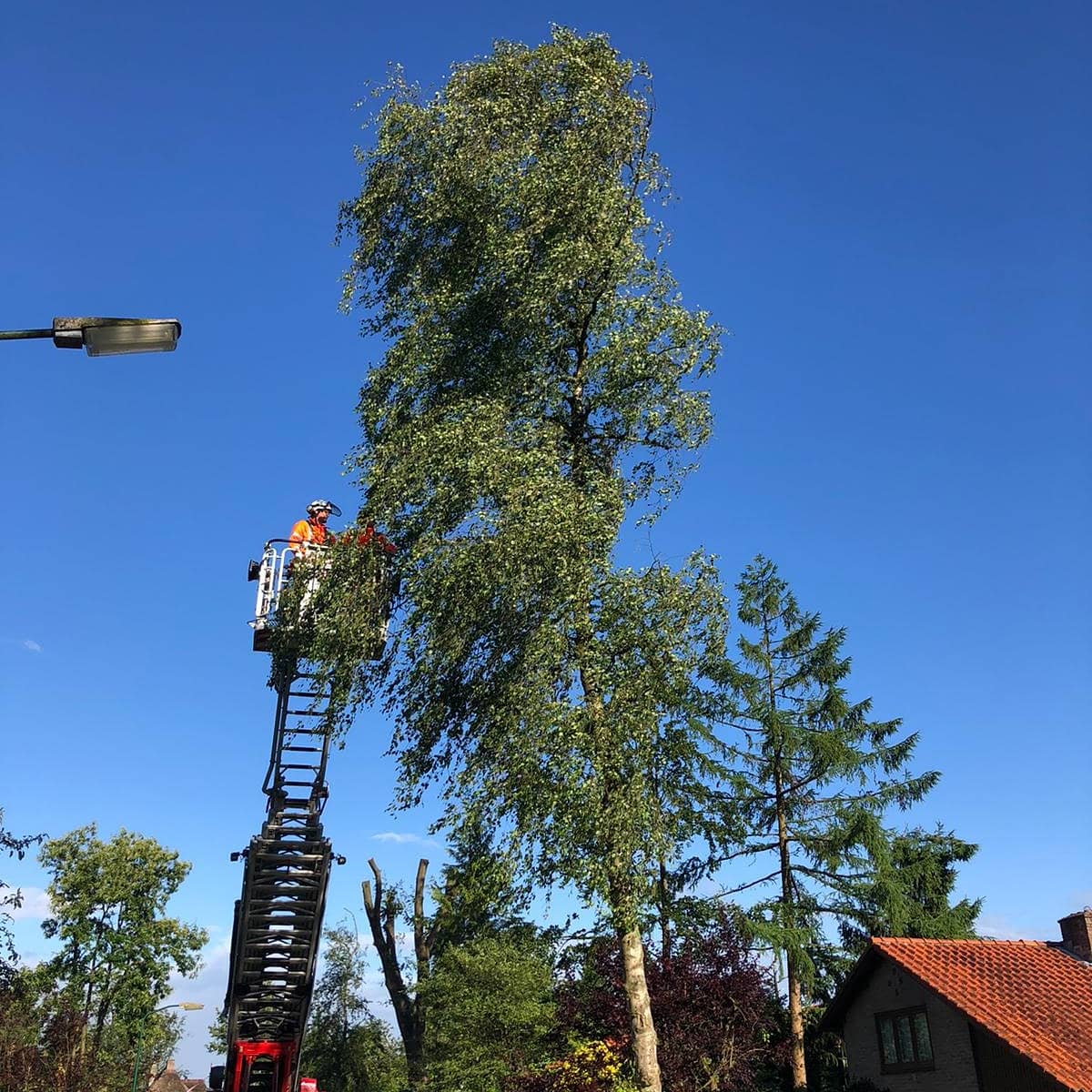 Vanavond hebben wij Brandweer Leersum geholpen bij een stormschade. De boom vormde een gevaar, deze stond op omvallen.

📆 06-07-2021
🚨 Uitruk 82 P2 Stormschade
🚒 RV5252
📍 Prinses Beatrixlaan, Leersum
#vrijwilligers #brandweer #uitruk #doorn #samensterk