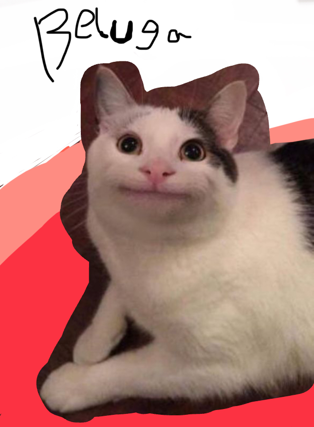 Beluga(polite cat meme)