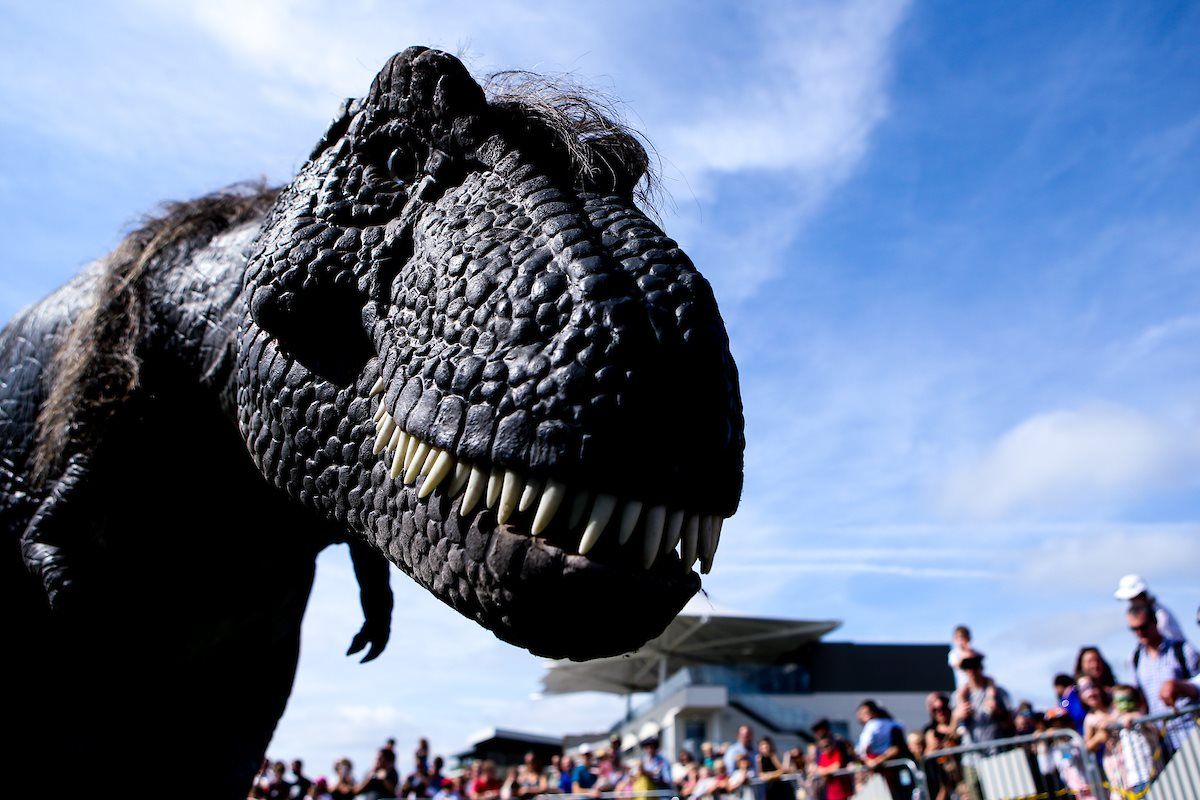 DINOSAUR ALERT!!!
For all those Dinosaur mad kids out there. You can meet Rex, a real life Dinosaur this Summer at <a href="/Woodlands_Park/">Woodlands Theme Park</a> on 27-28th July.  Read more and book tickets from the link or click below buff.ly/3wfbym6
#lovedevon <a href="/VisitDevon/">Visit Devon</a>