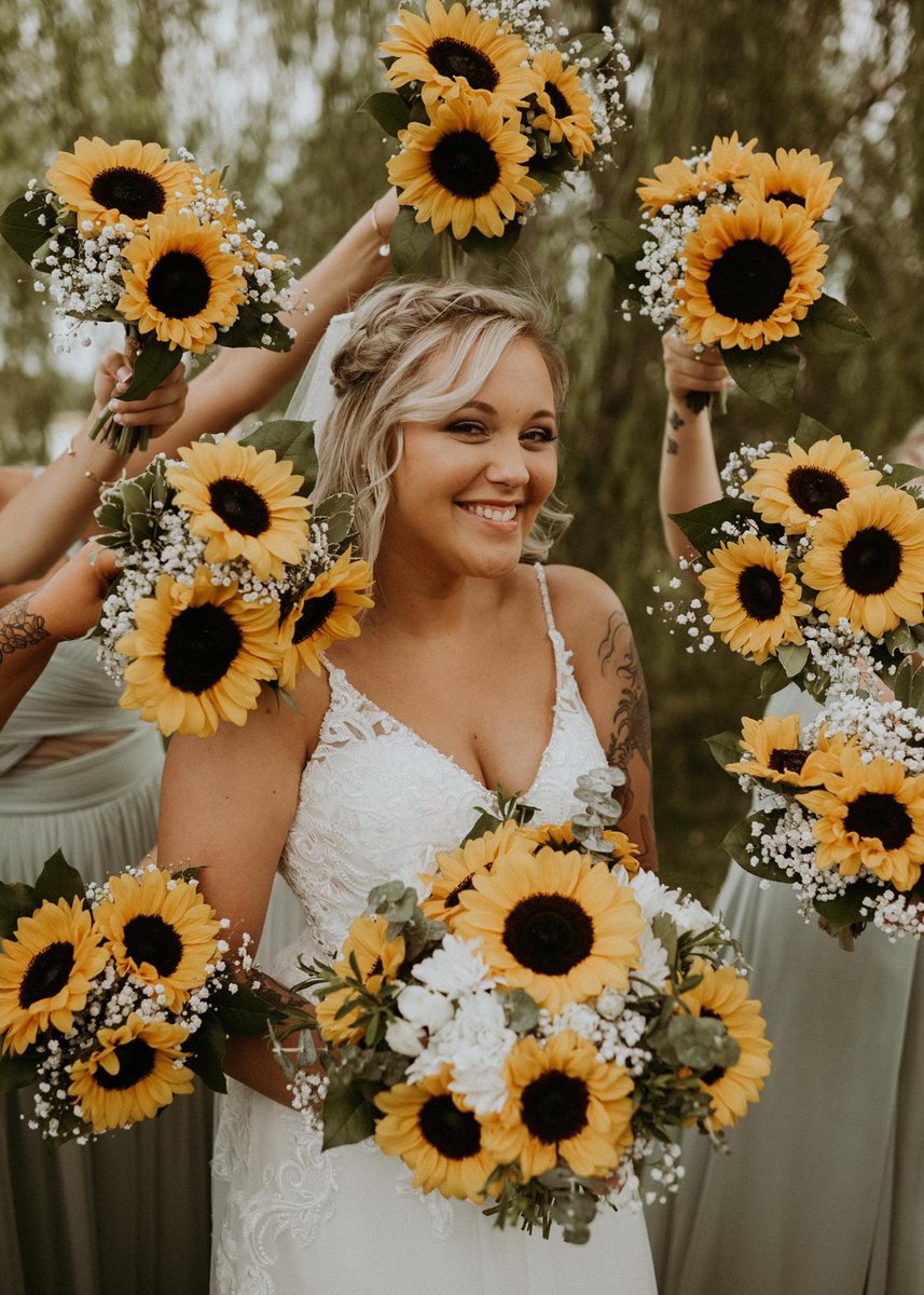 kcooop4's tweet photo. 🥰🌻 https://t.co/DLHY3wtizT
