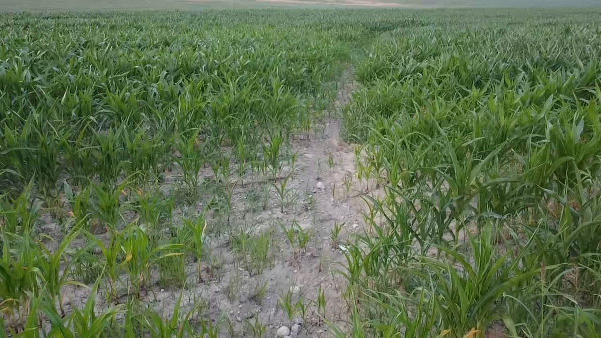 BlackOutOnCrown's tweet photo. Well I think I might need some water ways https://t.co/n6oULAYXMO