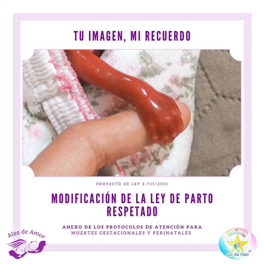 tu imagen, mi recuerdo tweet media