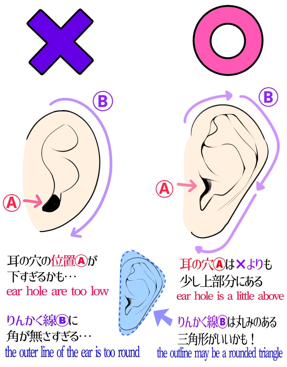 『綺麗な耳デッサンを描くときのコツ』

「下手に見えやすい例❌」

「上手に見えやすい例⭕️」 