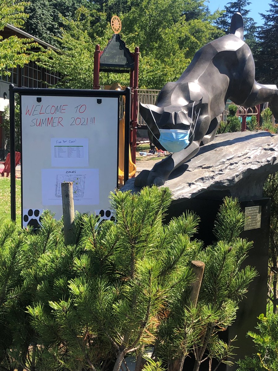 OWS Summer Program tweet media