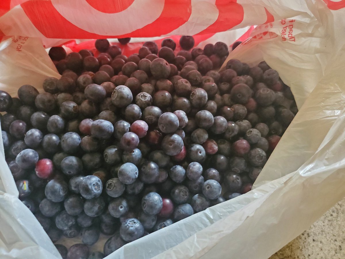 PopeCulinary's tweet image. A few days late, but these turned into this.!! Thanks @TrittSTEAM @JoeyGiunta @TrittTTF it was delicious!!! Going to water Wednesday's is always a good idea.