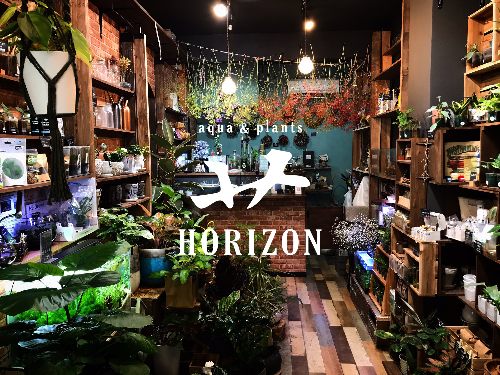 Ataro Armorino ちょっと珍しい植物と熱帯魚のお店 Aqua Amp Plants Horizon様のロゴを制作しました 植物を表す漢字共通の草冠をデザイン Horizonの頭文字 H でもあり 店主 蒔田さん の名前にも入っている草冠 このお店でしか実現できないロゴを
