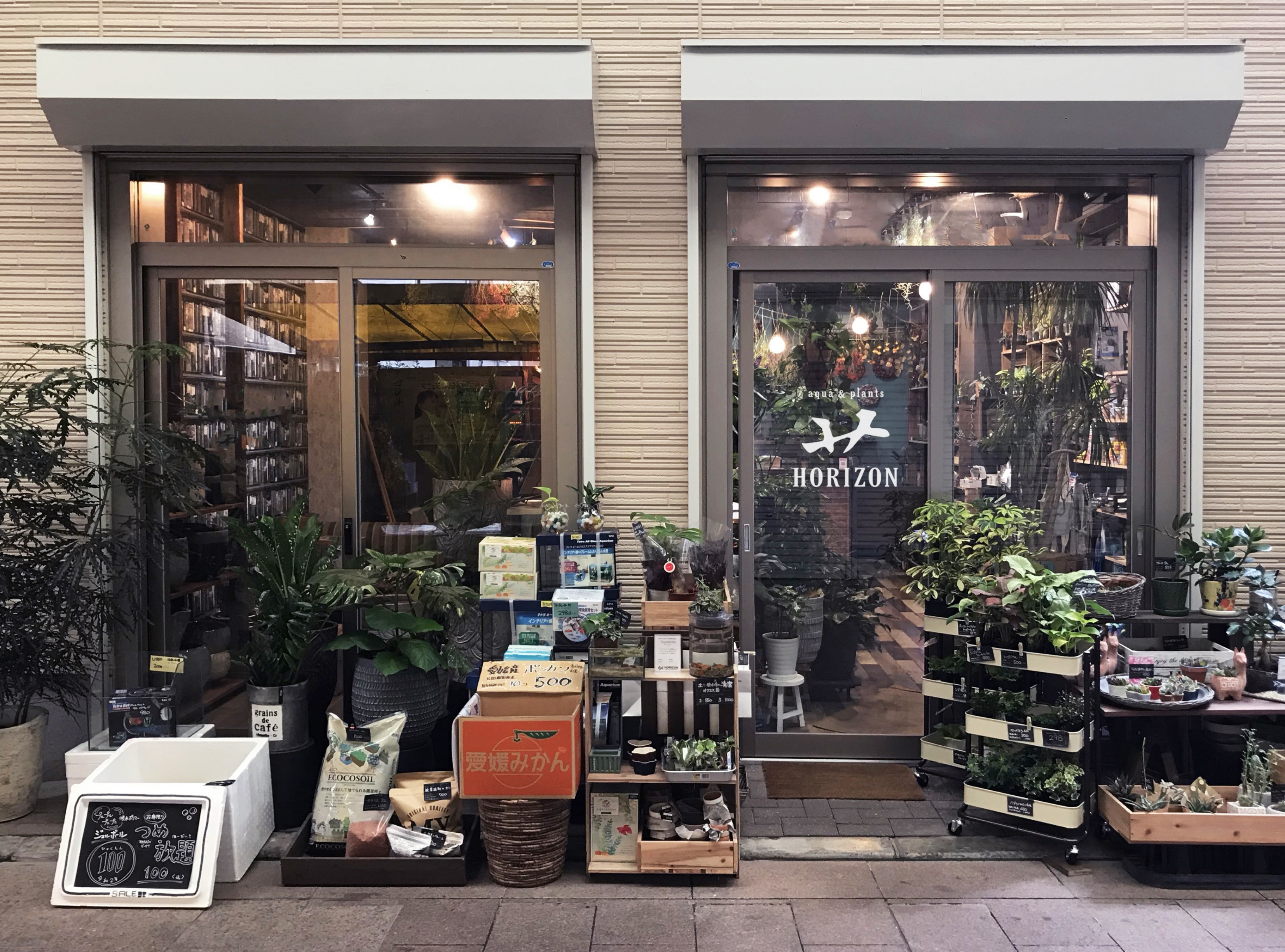 Ataro Armorino ちょっと珍しい植物と熱帯魚のお店 Aqua Amp Plants Horizon様のロゴを制作しました 植物を表す漢字共通の草冠をデザイン Horizonの頭文字 H でもあり 店主 蒔田さん の名前にも入っている草冠 このお店でしか実現できないロゴを