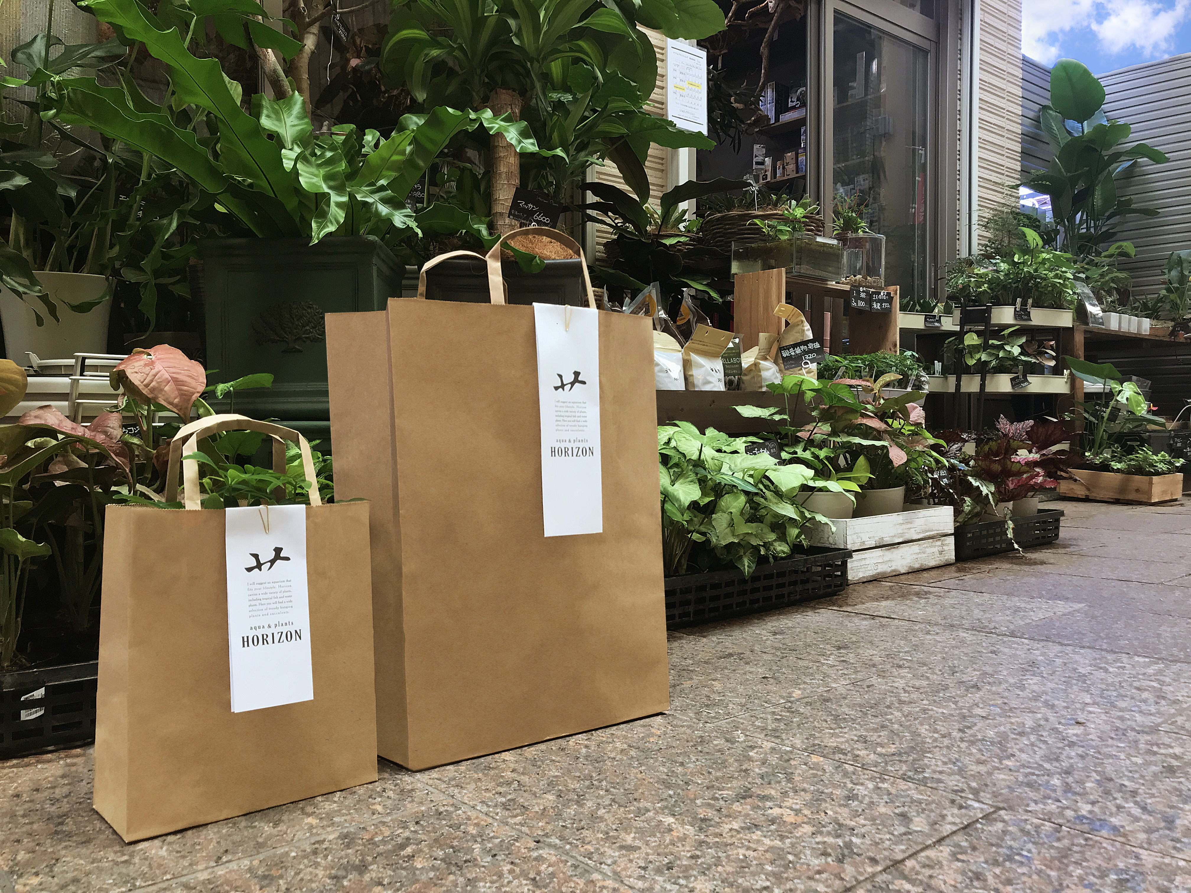 森縁 Armorino ちょっと珍しい植物と熱帯魚のお店 Aqua Amp Plants Horizon様のロゴを制作しました 植物を表す漢字共通の草冠をデザイン Horizonの頭文字 H でもあり 店主 蒔田さん の名前にも入っている草冠 このお店でしか実現できないロゴを