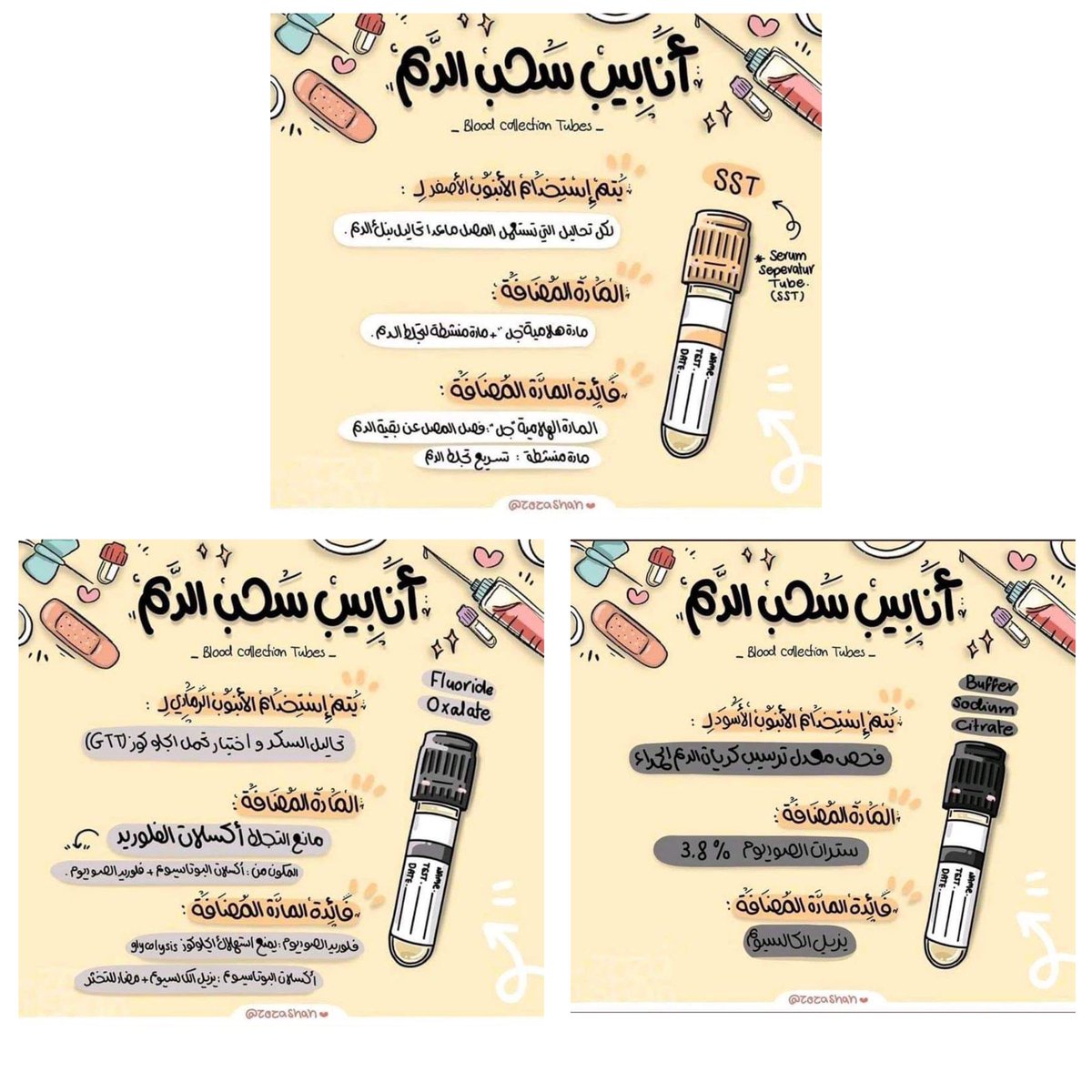 hajar__1998's tweet image. وأخيرا ملخص بسيط للأنابيب من إبداع زهرة 🔥💙
@zozashah1 
@haya_lab
@labthology
@MLS_2015
@MedicaLab_
@micro_cloud2
@Ghadoo__4
@ghayda_basfar
@Ghazi2014