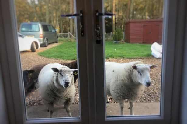 In six words or fewer, write a short story about this photo...

#amwriting #sixwordstory