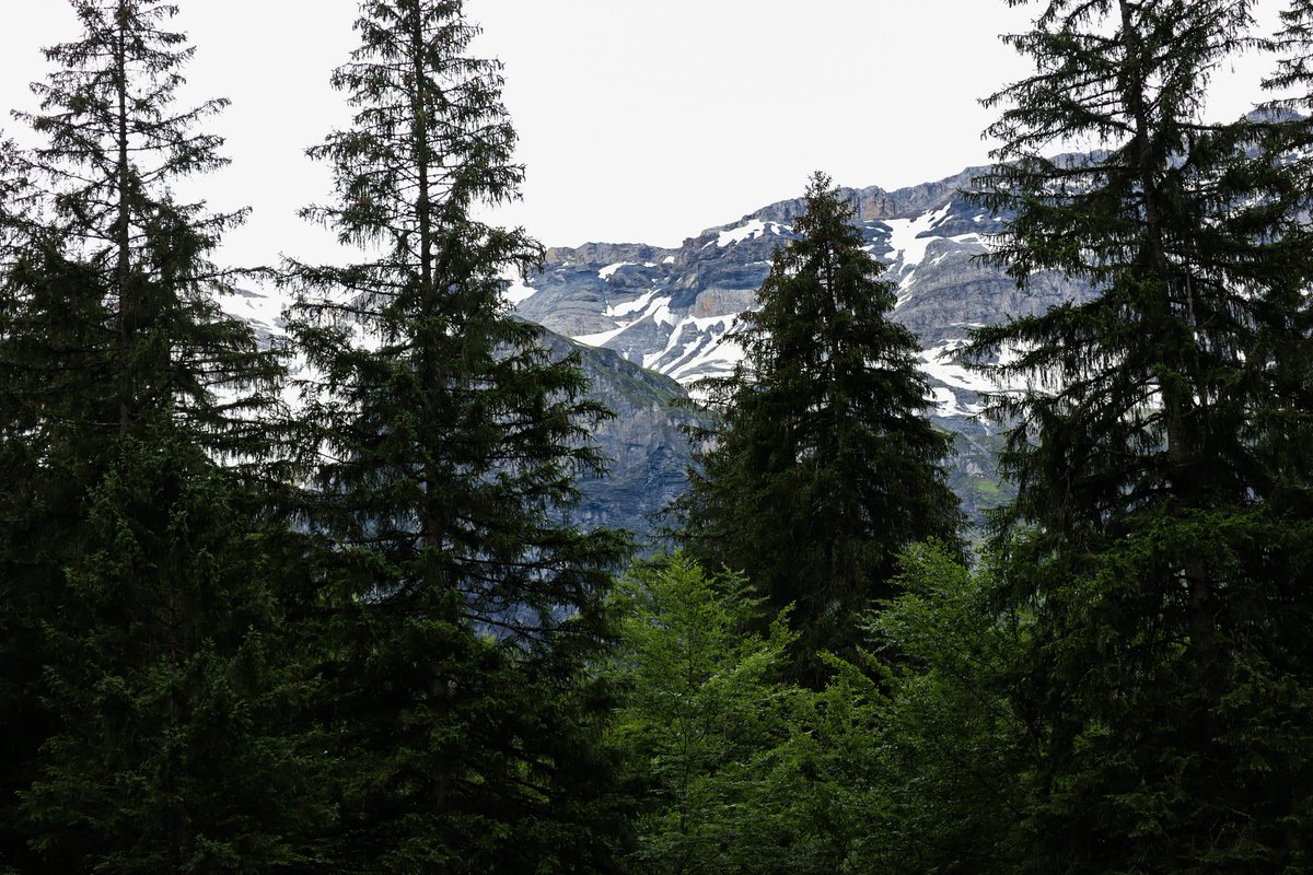 SarahDuchemann's tweet photo. 📍 Cirque du Fer à Cheval
Une #balade à faire absolument en #HauteSavoie même par temps gris : cascades, ruisseaux et glaciers, what else ?! ⛰️😍 https://t.co/PzCBNuYPKn
