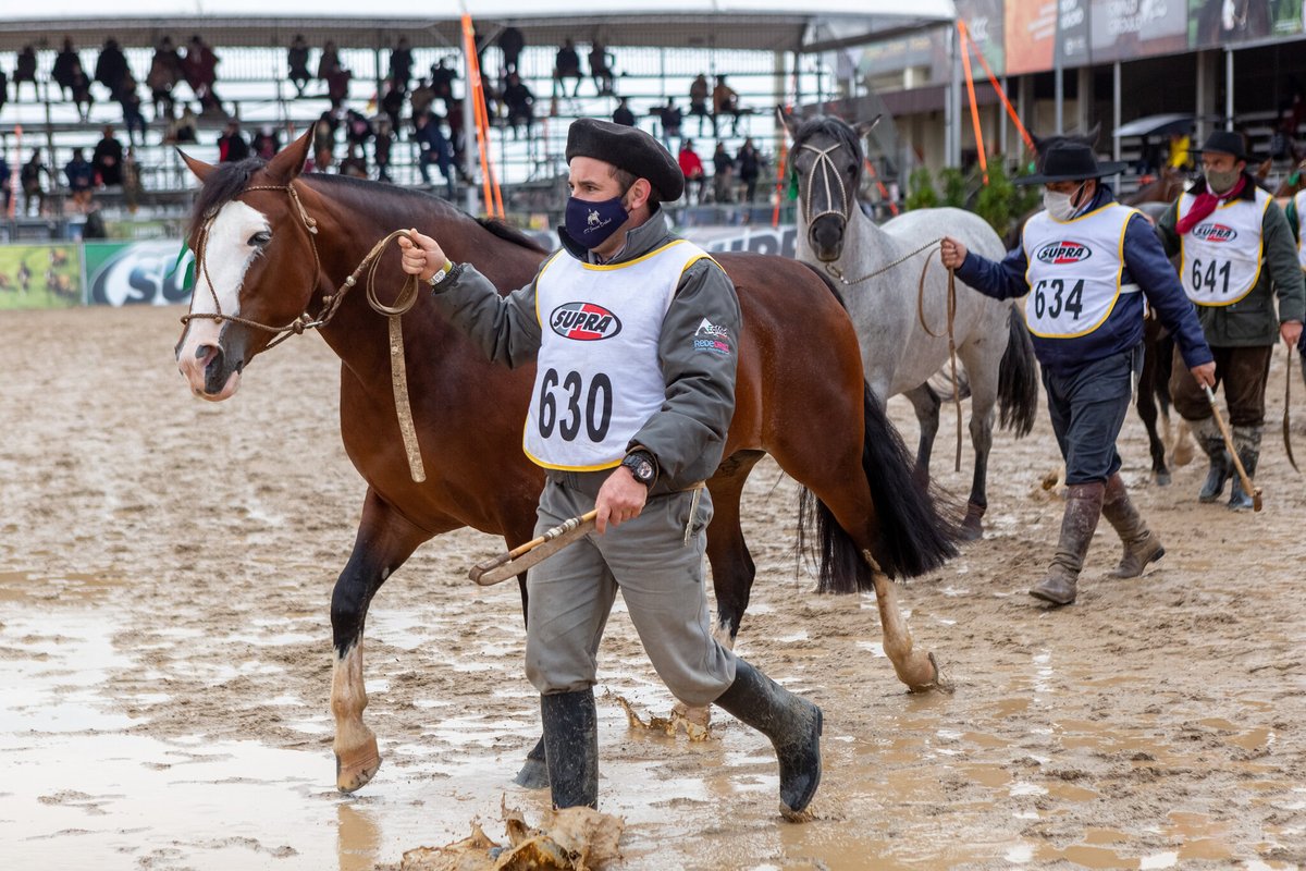 governo_rs's tweet image. 😷🚜#Expointer2021 terá limite de até 15 mil visitantes por dia, 25% da quantidade de pessoas que costumava circular, em média, nas edições anteriores. Decisão foi divulgada nesta terça (6). 

📅A 44ª feira acontece entre 4 e 12 de setembro.  

Saiba mais: bit.ly/3dPb5AE