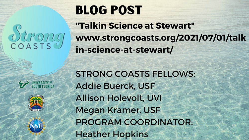 Strong Coasts tweet media