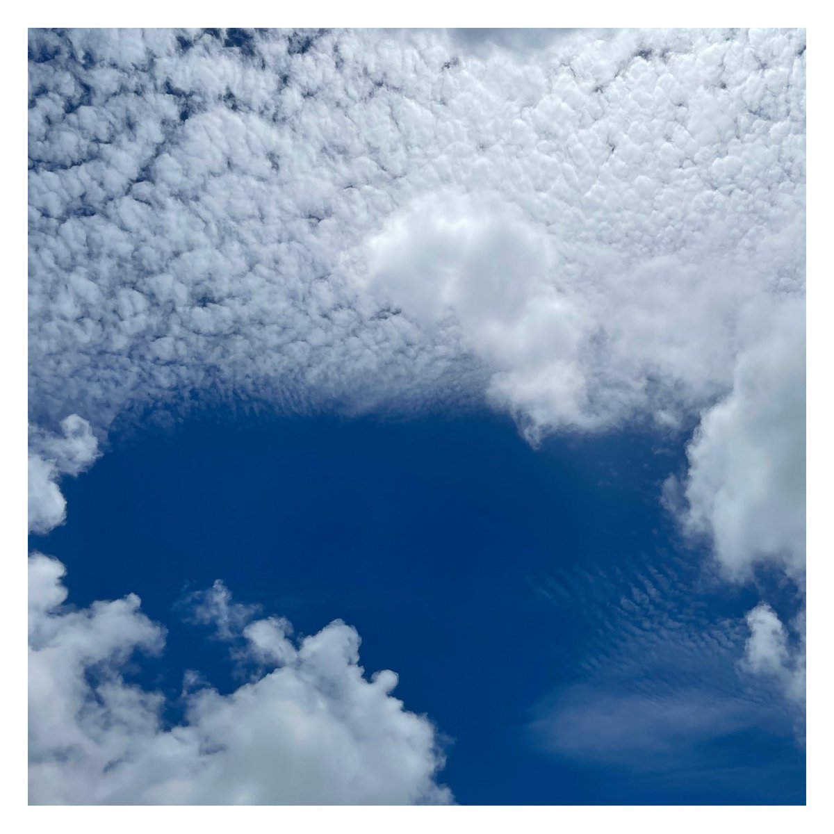 MLOdotArt's tweet photo. Cloud photo of the day
Miami, Florida
Tag me in your cloud photos or use the hashtag #mloart, and I might draw yours.
#cloud #photography https://t.co/ySXGbUNvPT