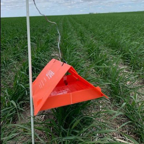 Ag Grow Consulting tweet media