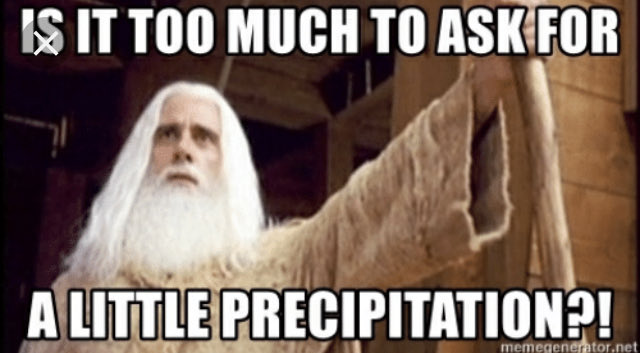 Northland Seeds Inc (@lee_johnson27) on Twitter photo 