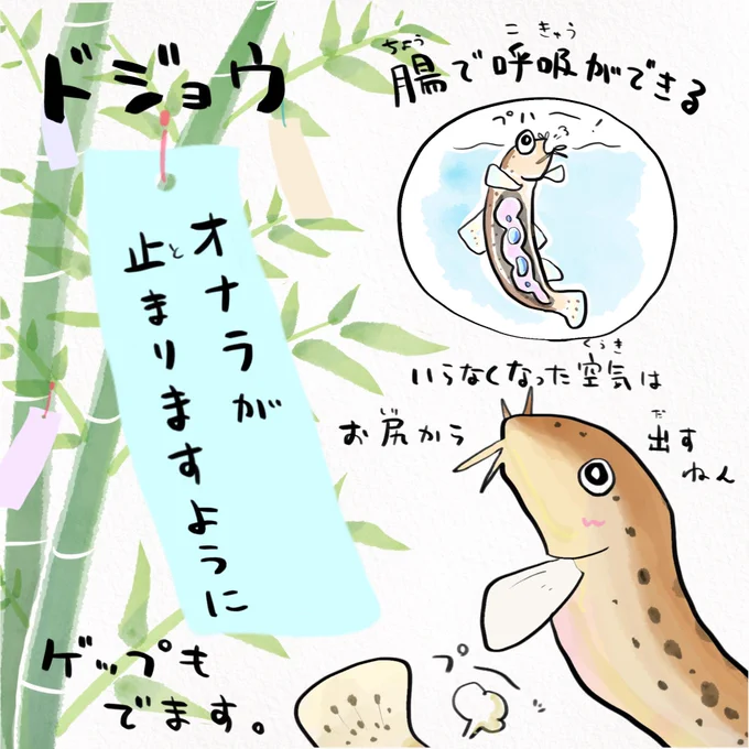 #七夕の願い事
さかなたちも色々あるようです 