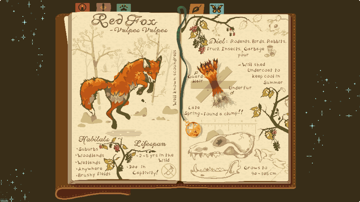 Double_Boy_'s tweet photo. Field Notes on the Red Fox, a recent commission

#pixelart #ドット絵 https://t.co/Q9ji49XZkU