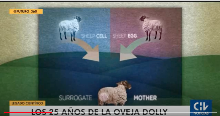 NeuroBNI (@institutobni) on Twitter photo "Cuando uno piensa en #clonar un individuo humano entero, eso claramente, esta completamente prohibido" comentó Miguel Concha respecto de los avances y perspectivas a 25 años de la clonación de #Dolly <a href="/chilevision/">Chilevisión</a>¿Te gustaría saber más?➡️shorturl.at/bcjxJ "Cuando uno piensa en #clonar un individuo humano entero, eso claramente, esta completamente prohibido" comentó Miguel Concha respecto de los avances y perspectivas a 25 años de la clonación de #Dolly <a href="/chilevision/">Chilevisión</a>¿Te gustaría saber más?➡️shorturl.at/bcjxJ
