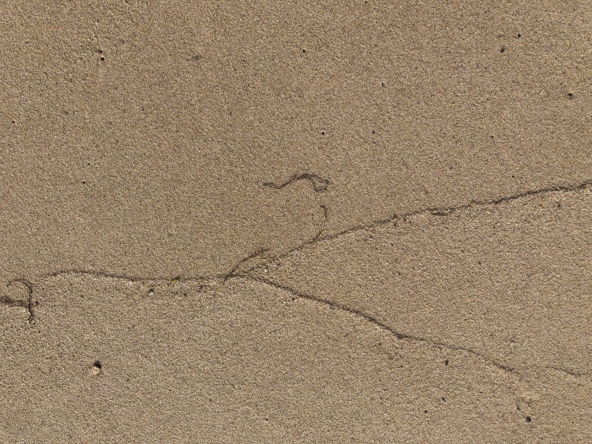 Yeastdoc1's tweet image. Breaker-induced replication.