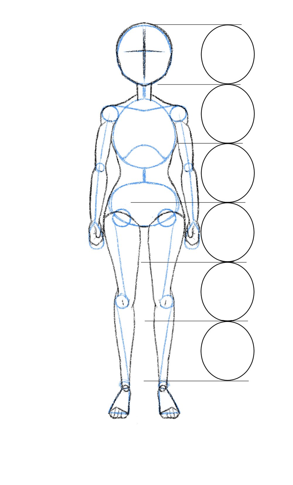 人体構造 Twitter Search Twitter