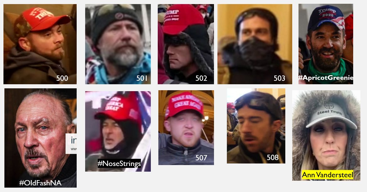 They stormed the Capitol! We call them #SeditionInsiders because they were inside the building. Recognize anyone? If so the FBI would like to hear from you. #CapitolAttack More insiders seditionhunters.org/seditioninside… stormed the Capitol!