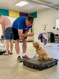 circletail's tweet photo. We are glad to be at it again with basic obedience classes! Here are some pictures from our 10 am class.
#circletail #helpingdogshelppeople #partnerswithpaws #basicobediencetraining https://t.co/y4HHWr4y9J