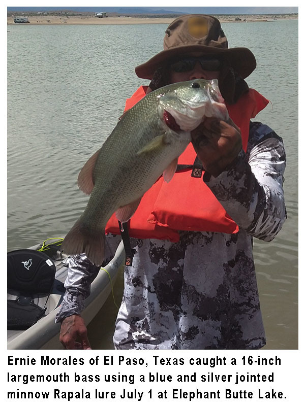 NMDGF's tweet photo. This fishing report, provided by Dustin Berg of Go Unlimited (supporting disabled anglers) and the @NMDGF, has been generated from the best information available from area officers and anglers.  #fishnm #wildnm #nmfishingreport #nmstockingreport

https://t.co/VwOIFsmSFY https://t.co/ClMzksh1dn