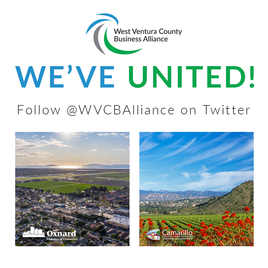 Camarillo Chamber tweet media