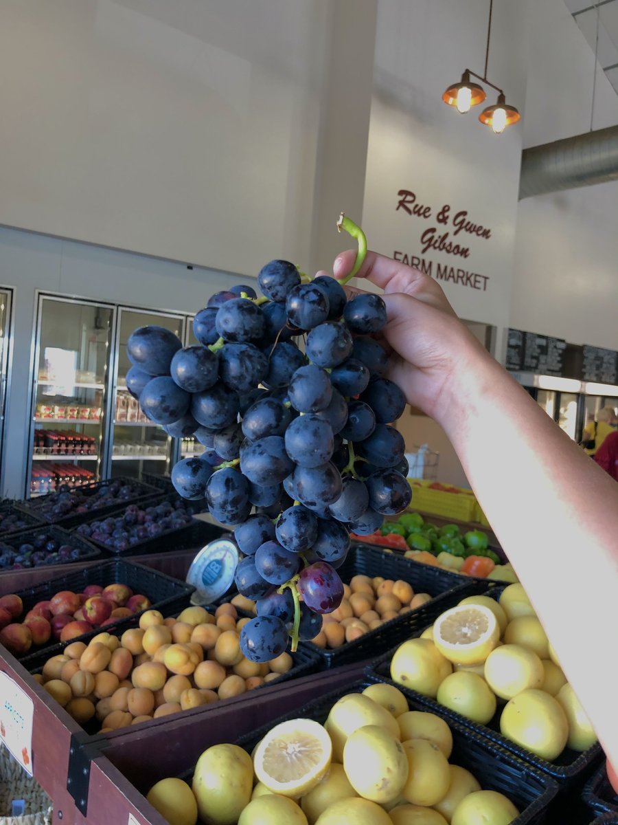 Today is a grape day because Fresno States delicious grapes are here! Our Summer Royal and Flame grapes are available for $2.49/lb. 😄🍇