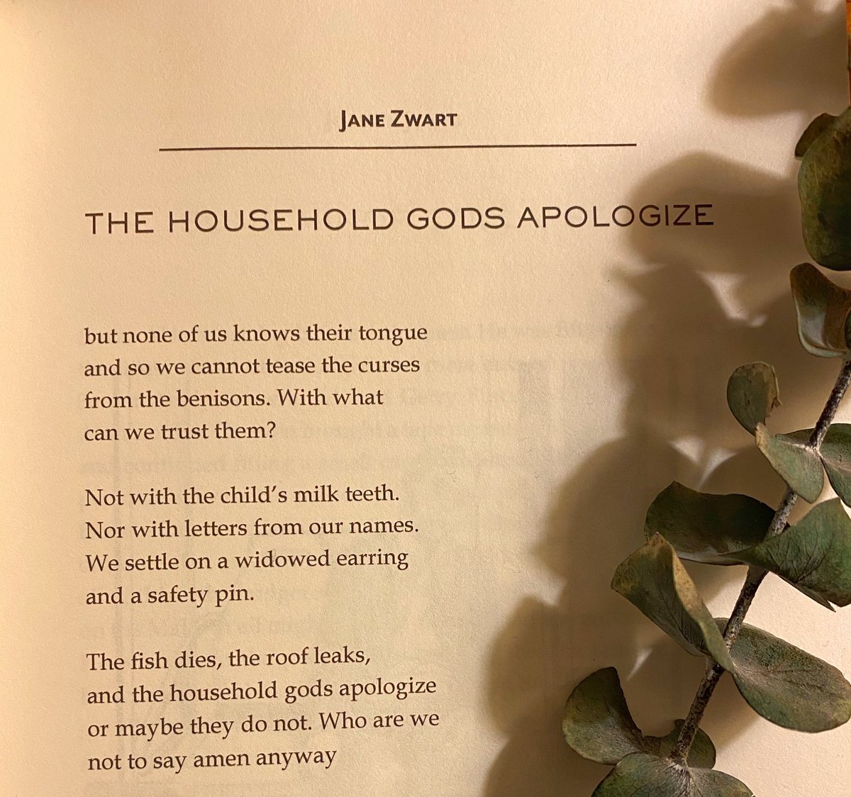 "The Household Gods Apologize" a poem by Jane Zwart, from Potomac Review's issue 68. 🌱 Our Spring issue is still up and available for purchase! See the link in our bio for more information. 📚
