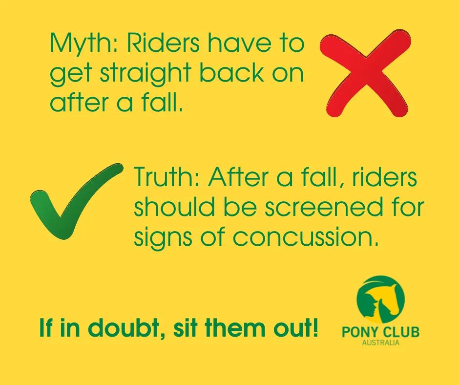 PonyClubAus's tweet photo. Read the Pony Club Australia Concussion Policy and Recognition Tool at https://t.co/40ht0VfBpQ

#physical #psychological #safety #concussion #ridesmart #smartriders #horsesafe @riders4helmets @SMA_News @sportaustralia @ACSEP_ https://t.co/NIPYVLEYYm