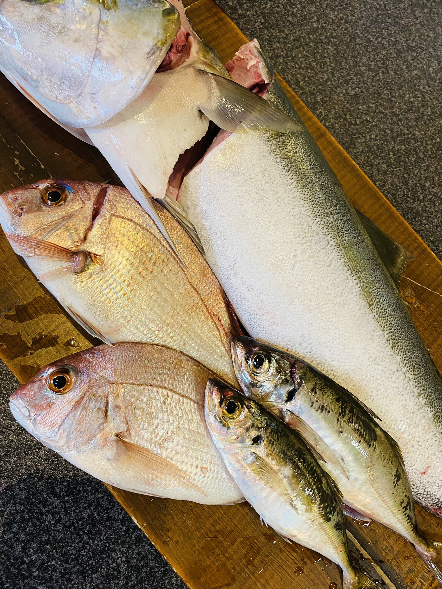 居酒屋 天 釣りに行ったお客さんから頂いたお魚達 みんなで美味しさを共有した海鮮丼と〆に出し汁茶漬け 釣り 明石 魚 メジロ 鯵 鯛 海鮮丼 出し汁茶漬け テイクアウト T Co 38lzyxmzmb Twitter 居酒屋 天 釣りに行ったお客さんから頂いたお魚達 みんなで美味しさを共有した海鮮丼と〆に出し汁茶漬け 釣り 明石 魚 メジロ 鯵 鯛 海鮮丼 出し汁茶漬け テイクアウト T Co 38lzyxmzmb Twitter