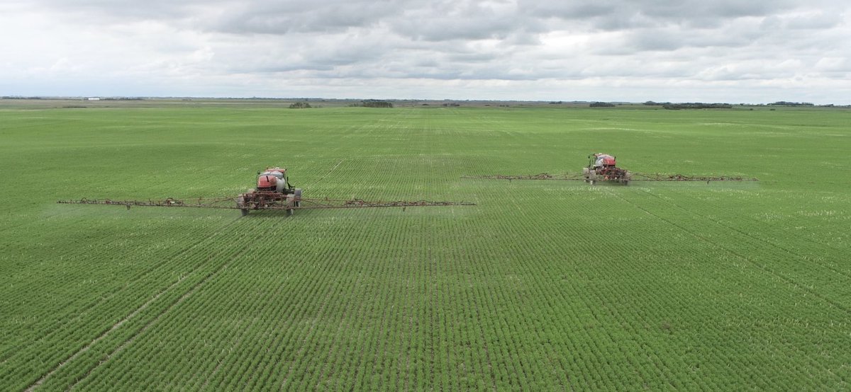 eric_hanmer's tweet photo. Applying some #Elatus fungicide with foliar nutrition and bio stimulants today on red lentils. ⁦@TysonHunter12⁩ ⁦@syngentacanada⁩ ⁦@SynergyAG⁩ https://t.co/dzWH2p2r3E
