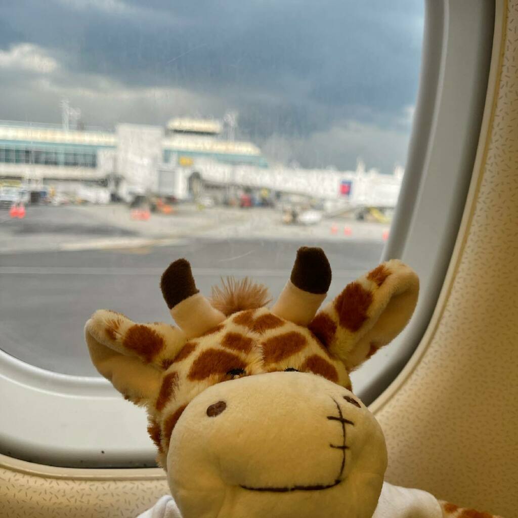 travelingiraffe's tweet photo. I learned a new phrase. Ground Stop. It’s the opposite of flying. I guess giraffes weren’t meant to fly? BTW - the turbulence has been crazy! Mom said it’s the wind. -Mosaic #notflying https://t.co/xDTY2xYy6i https://t.co/lbKgVC7ELO