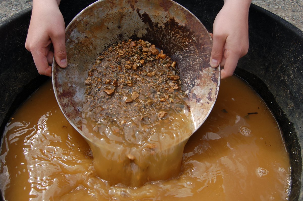 Gold panning at MacBride is happening daily at 11:15 and 3:15 this summer! For just $7, you can learn how to gold pan like in the Gold Rush, plus you keep the gold you find! Did you know gold panning is a practice from the Romans, who used pans to get heavy metals from river beds