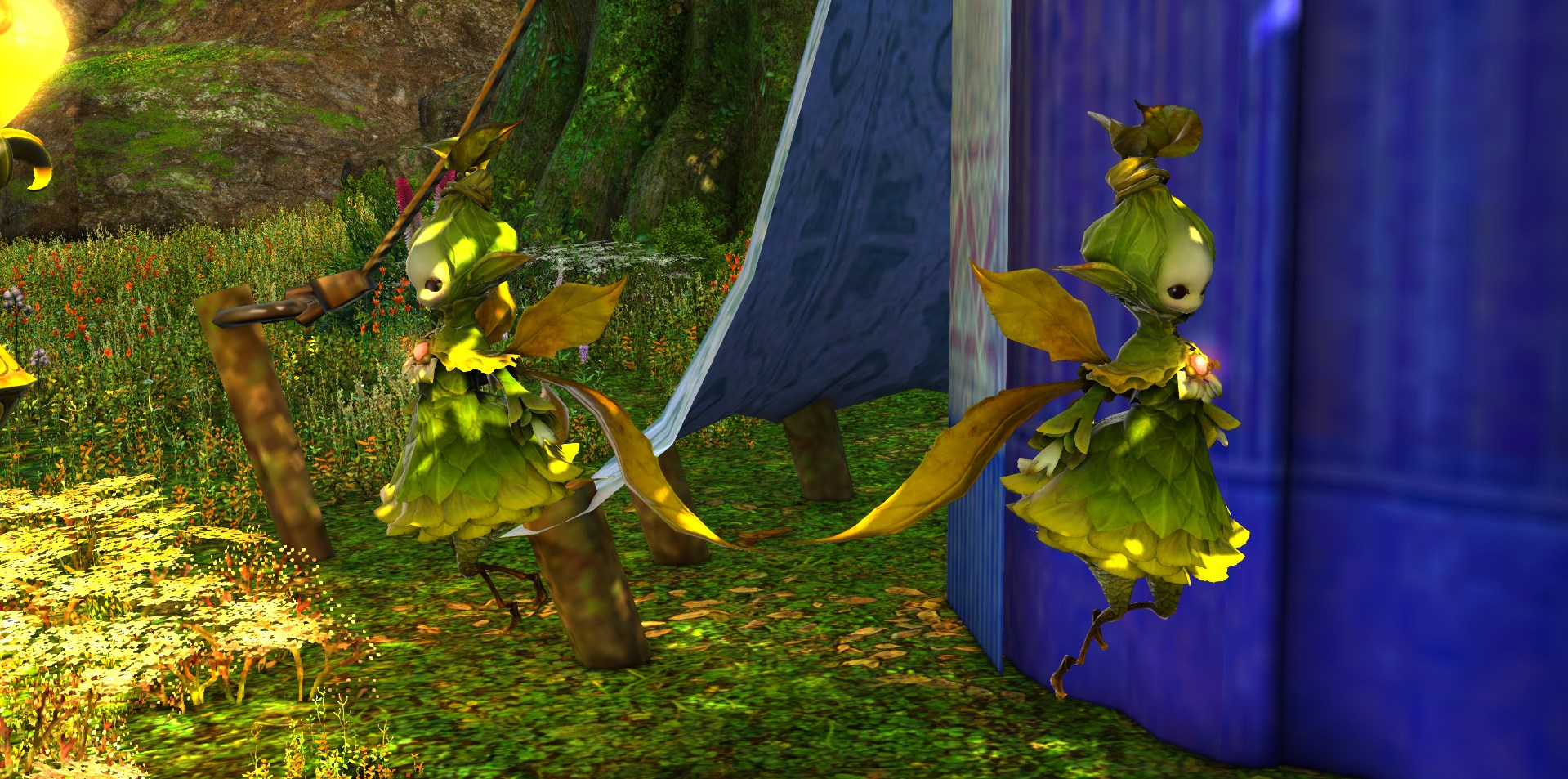FFXIV Fun Facts🌮 on X: “Sylphs are one of the few beast tribes to 